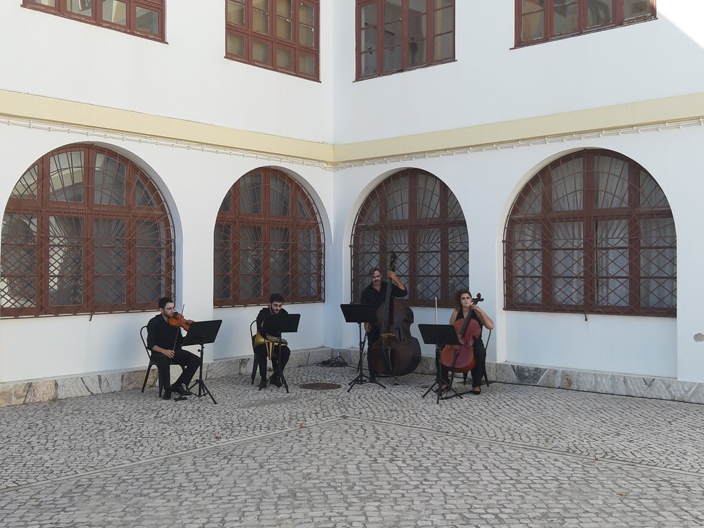 o_regresso_da_norma__52_