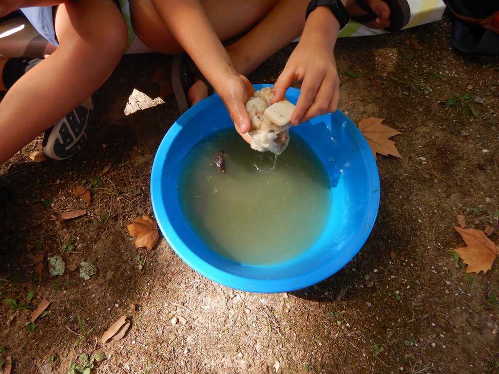 25-09-2021 - Ciclo da Lã (14) - Lavar a lã