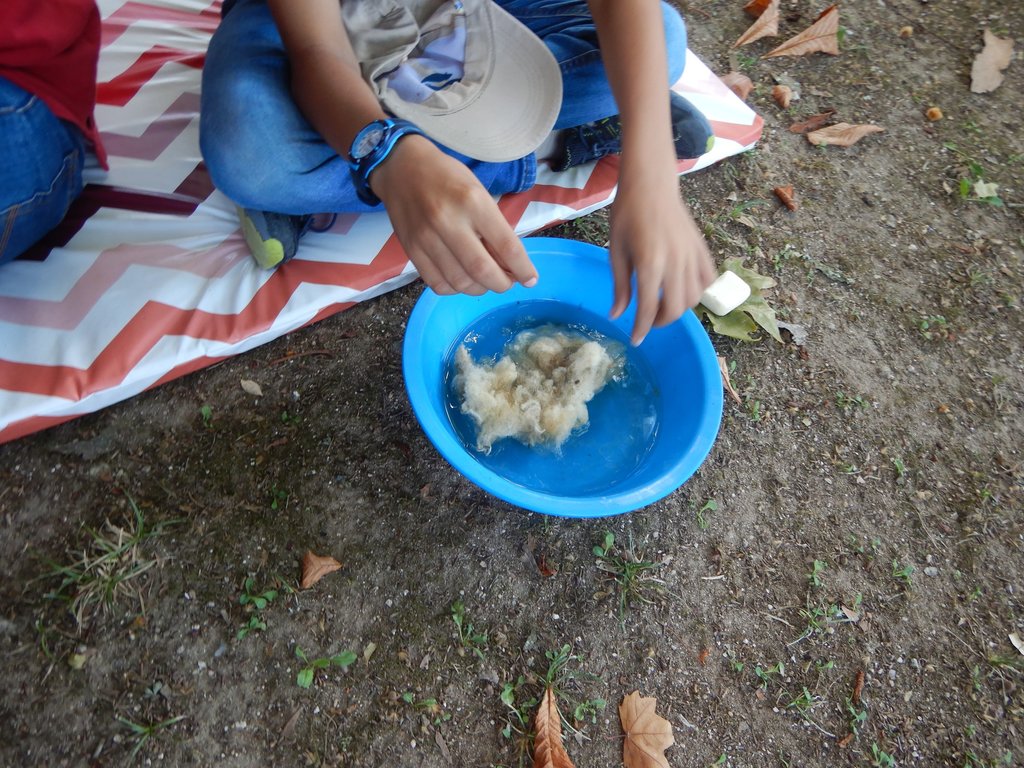 25-09-2021 - Ciclo da Lã (11) - Lavar a lã