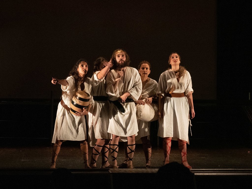 Ulisses viu-se Grego (3)