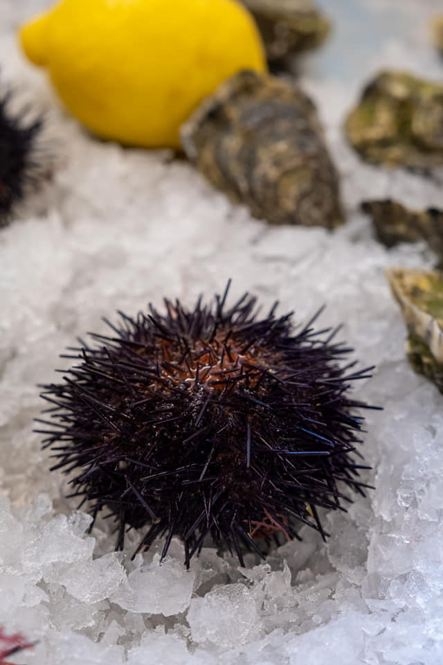 279272052_356900419811950_3261432232961266379_n