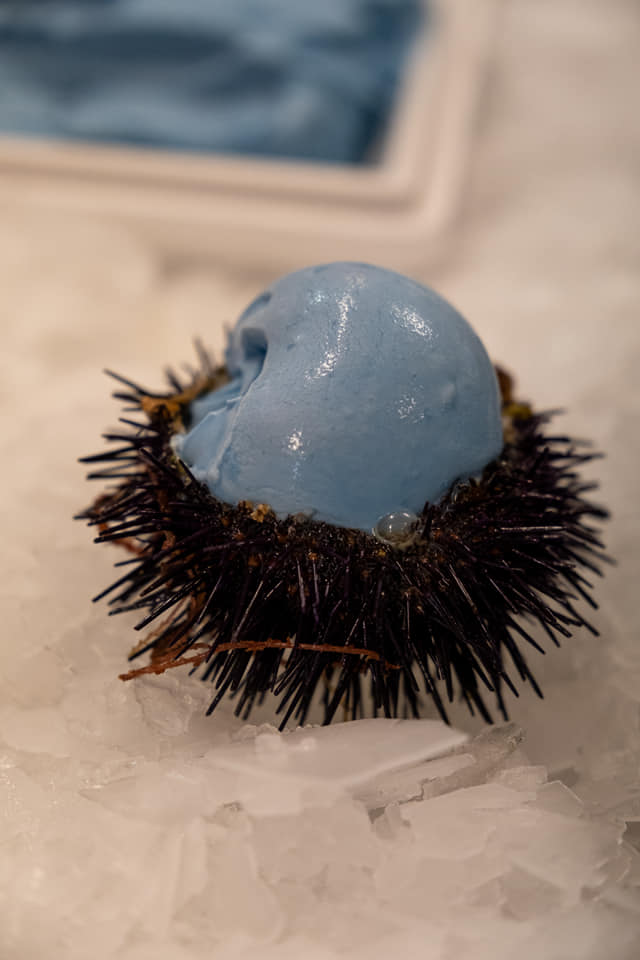 279229787_356900763145249_6639407445967290806_n