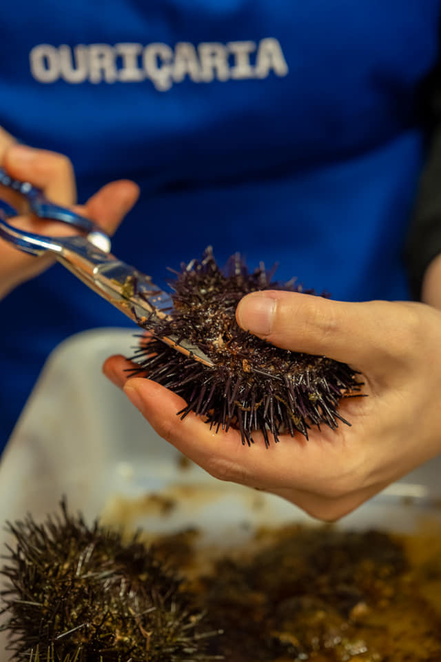 279215329_356901316478527_6250836455426805658_n