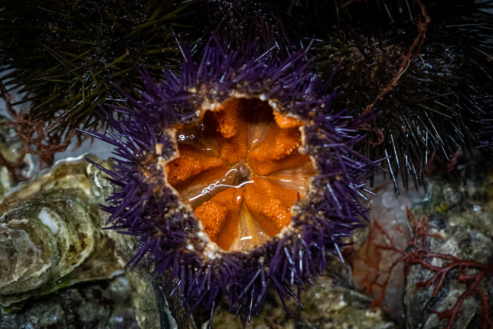 279244399_356901406478518_4585857670428712334_n