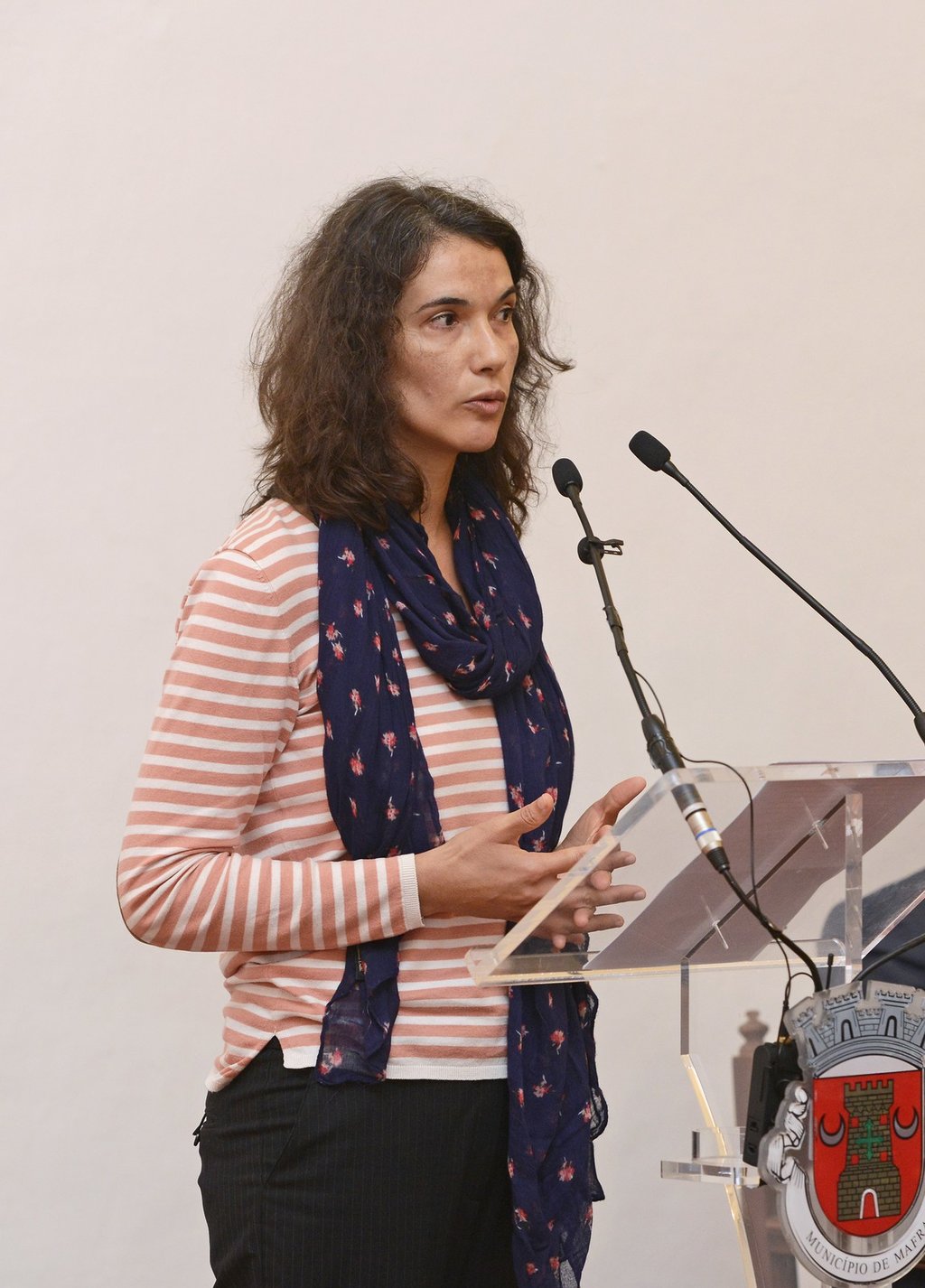 Lançamento da monografia Mafra. Singularidades de um território (3)