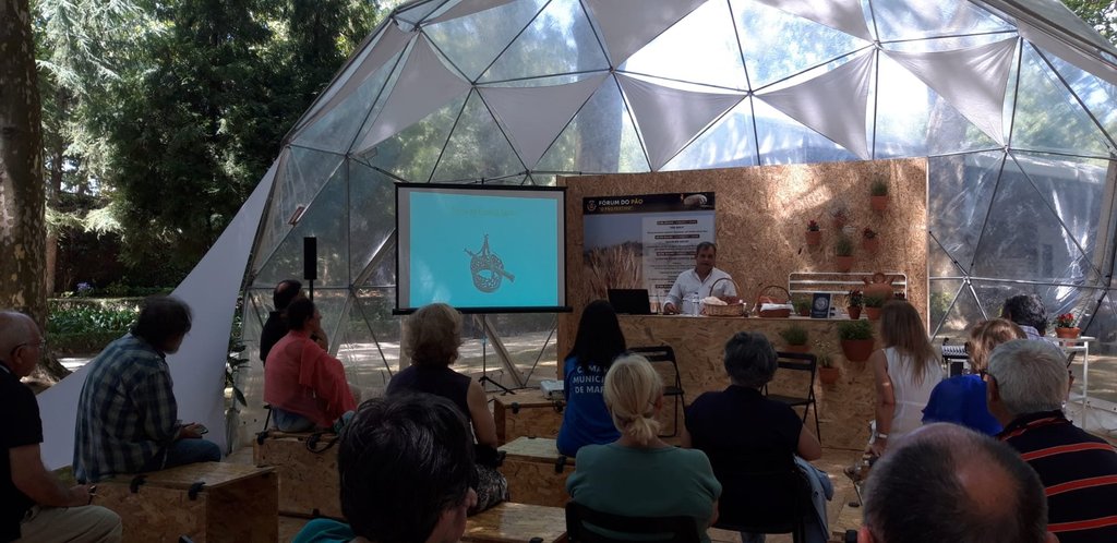 294257585_413462920822366_982668011262668832_n