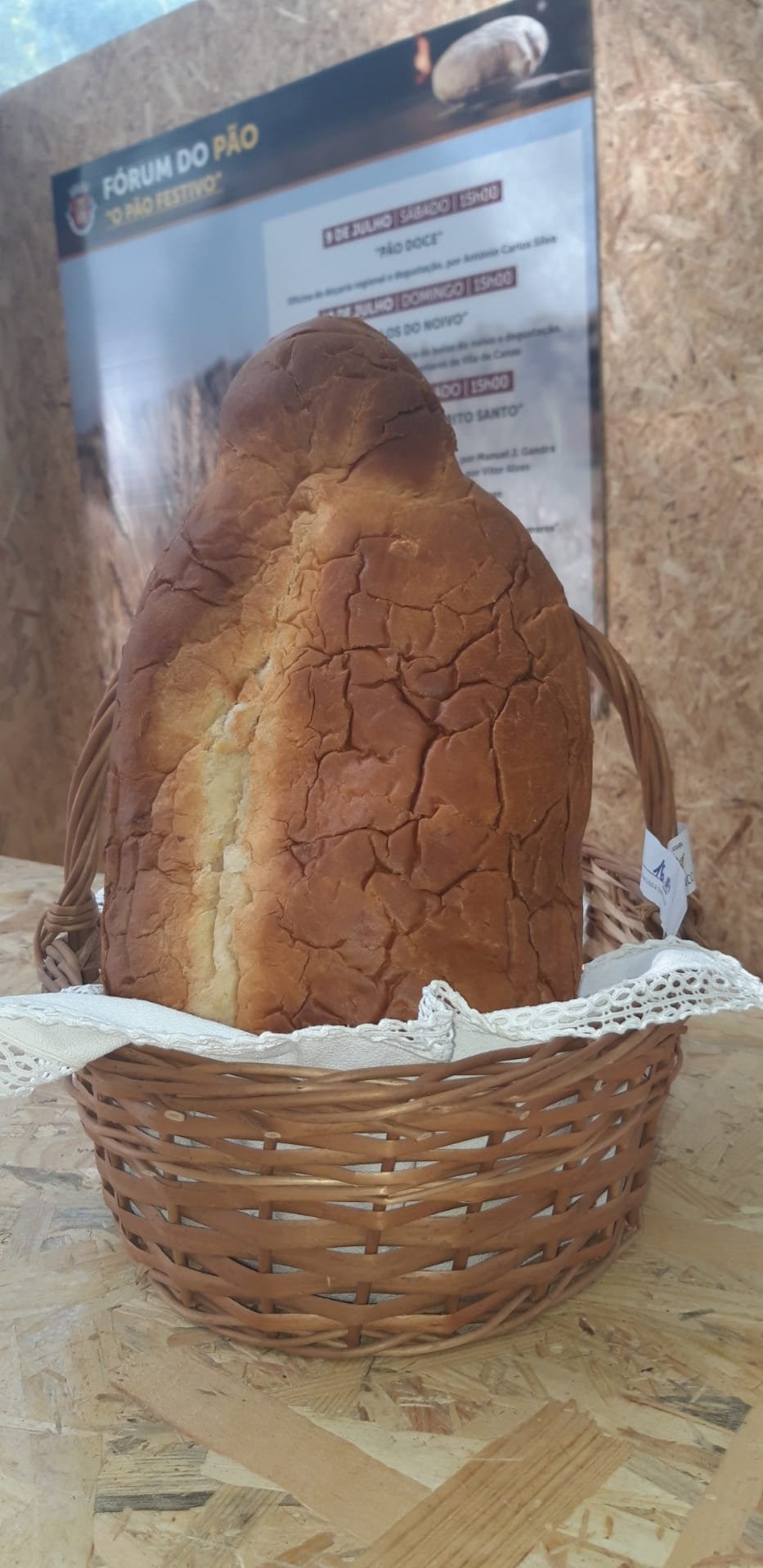 294562437_413463070822351_5114308922860265785_n