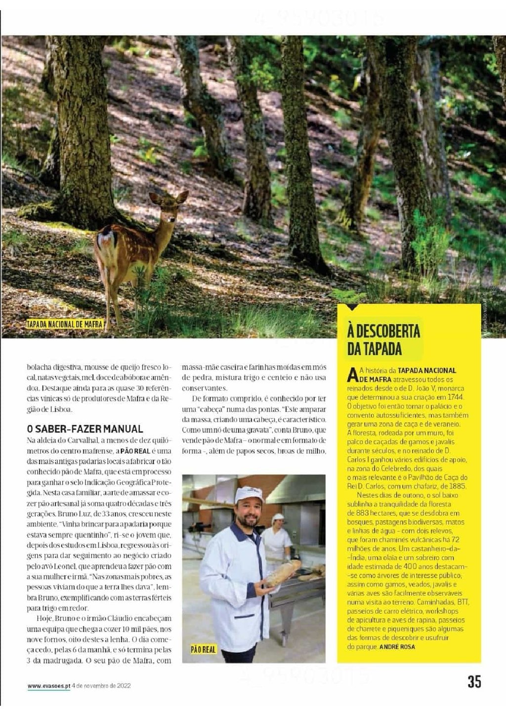 evasoes_jn__20221104_jornaispt__221104_114743_010