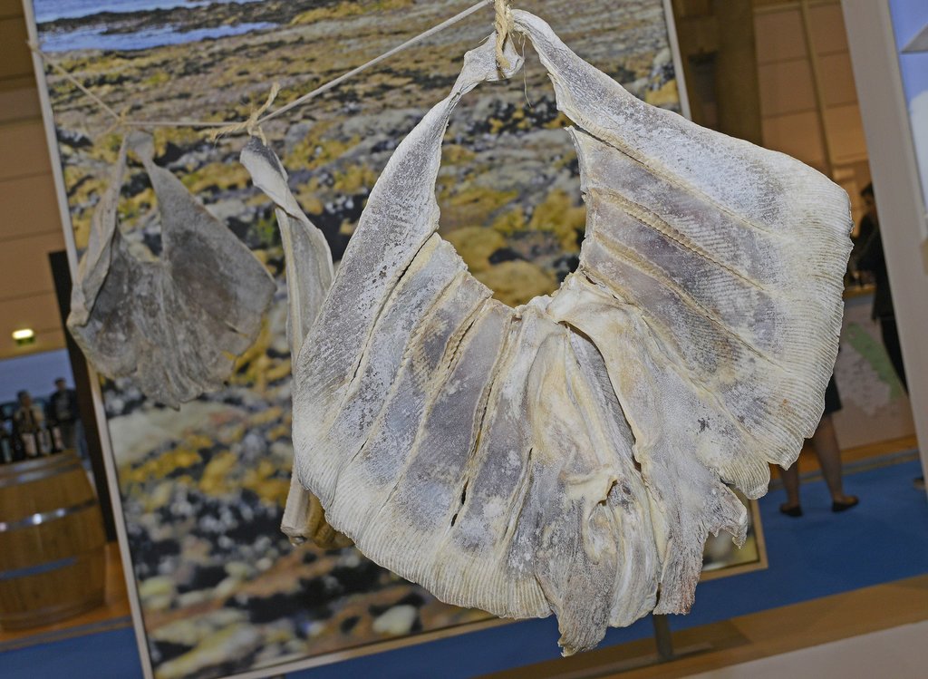 Município de Mafra em destaque na Bolsa de Turismo de Lisboa (9)