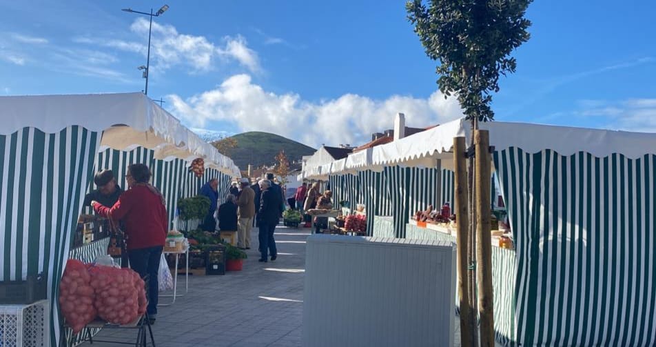 315974877_503333495163217_208357559351789086_n