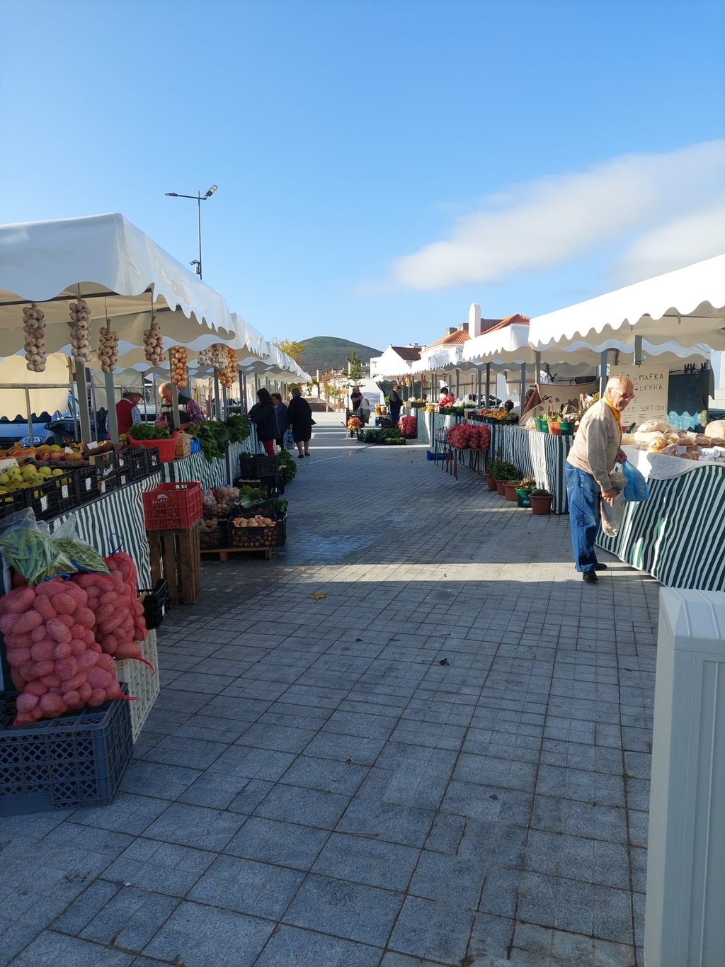 316174179_503339845162582_6884106009063585981_n