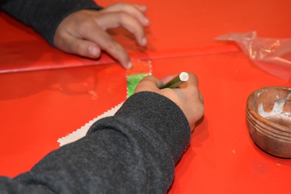 29_01_2023___familia__5_