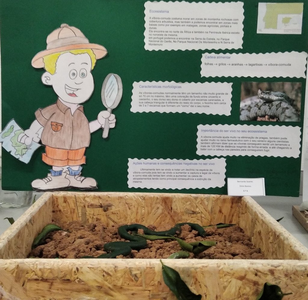 BernardoSoares-DinisBastos-Vibora cornuda
