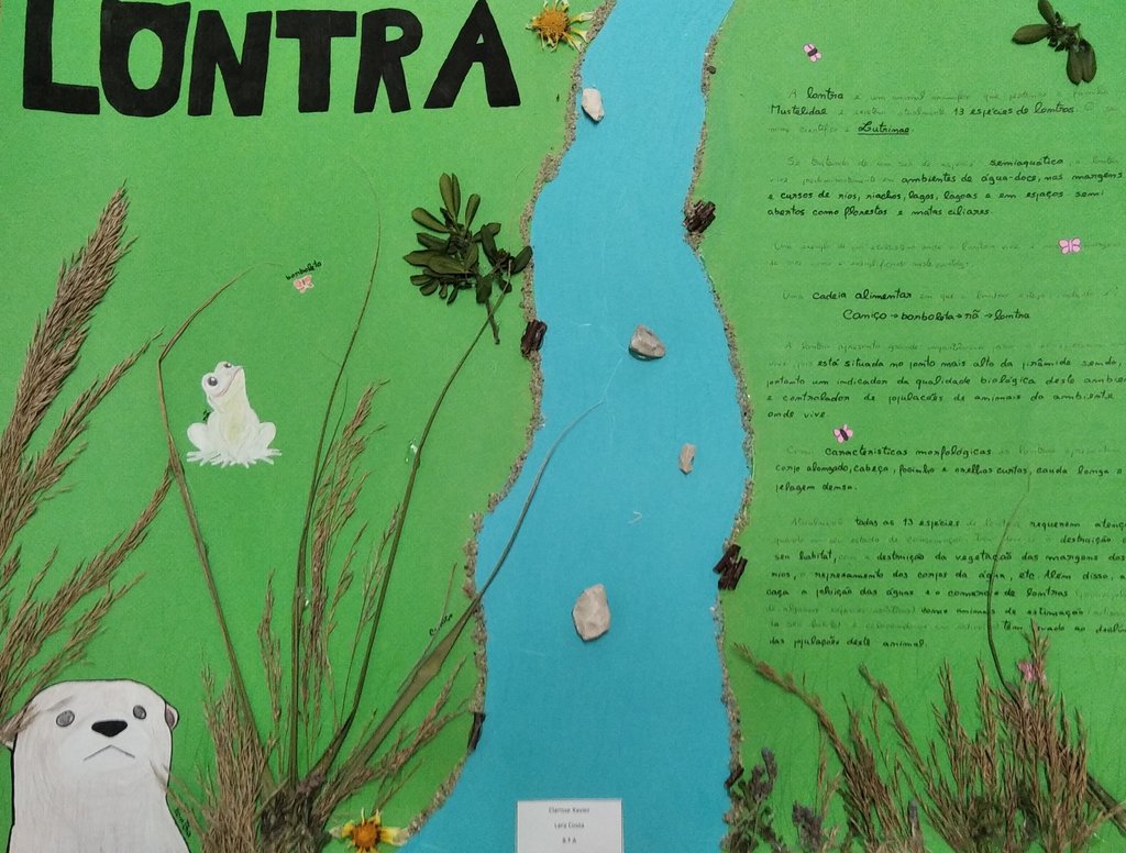 ClarisseXavier-LaraCosta-Lontra