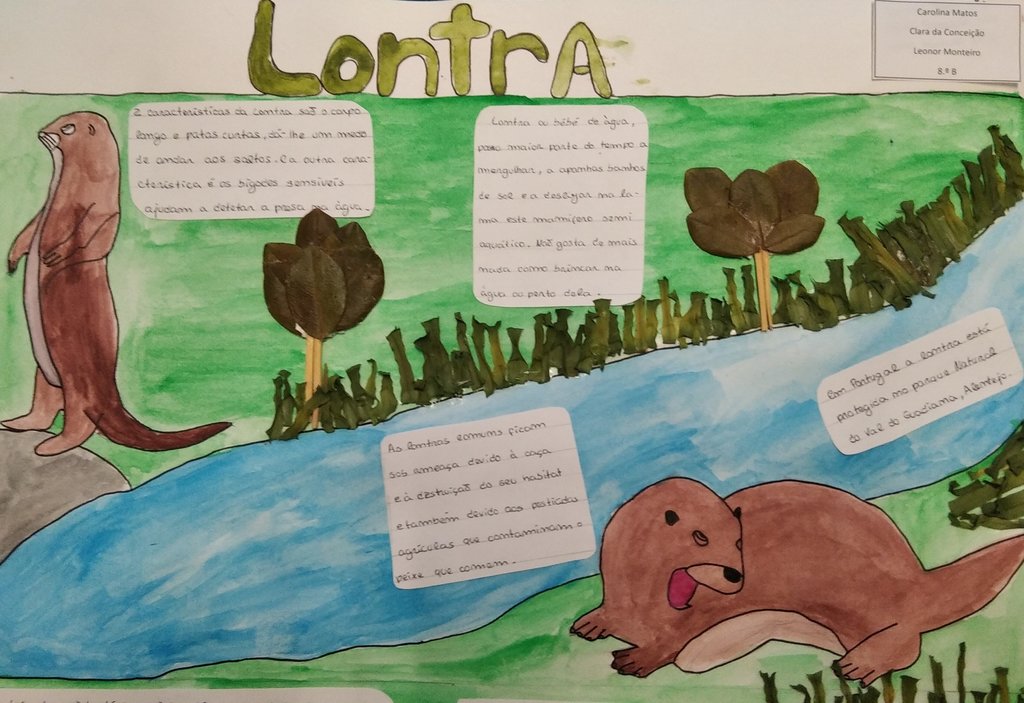CarolinaMatos-ClaraConceição-LeonorMonteiro-Lontra