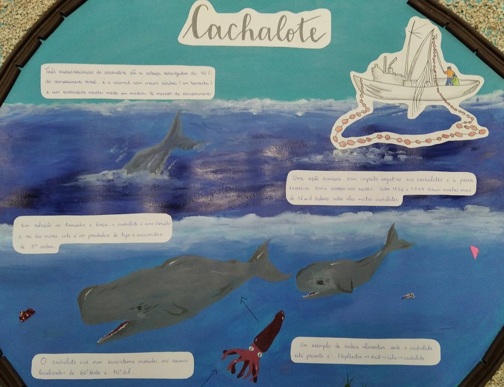 BeatrizCosta-JoanaSilva-Cachalote