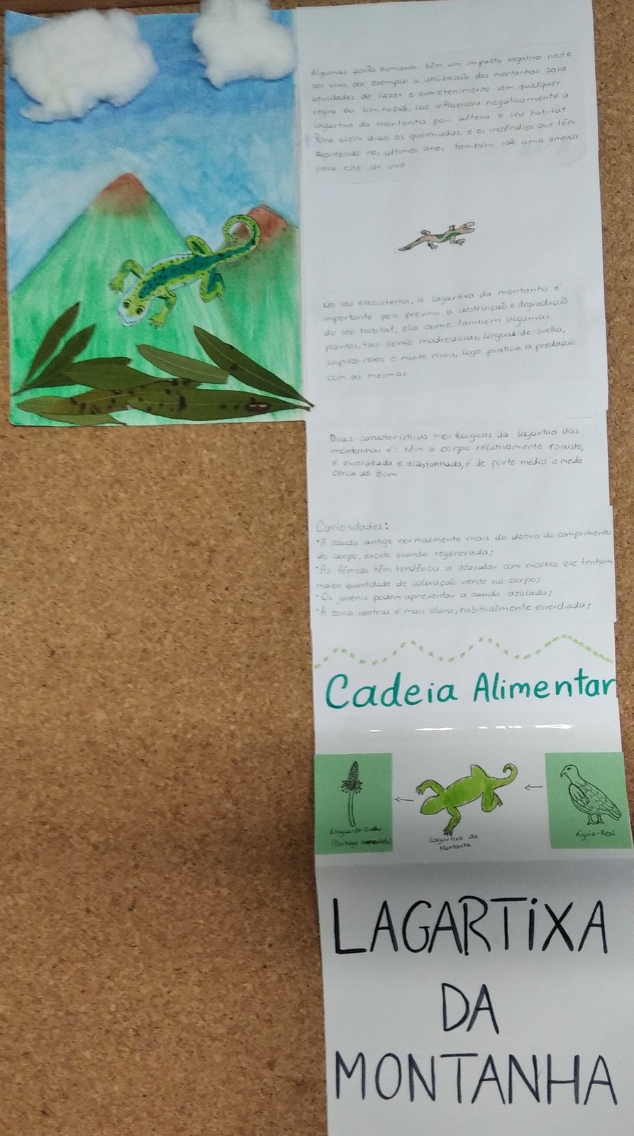 LeonorFerreira-MariaFonseca-Lagartixa da montanha