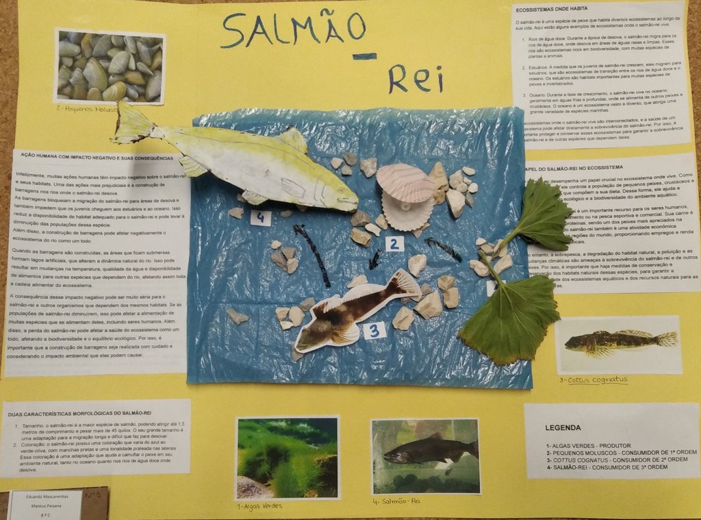 EduardoMascarenhas-MateusPaisana-Salmao Rei