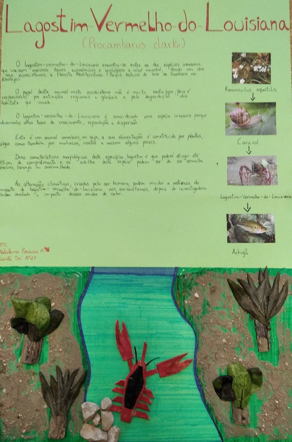 MadalenaPereira-VicenteSá-Lagostim