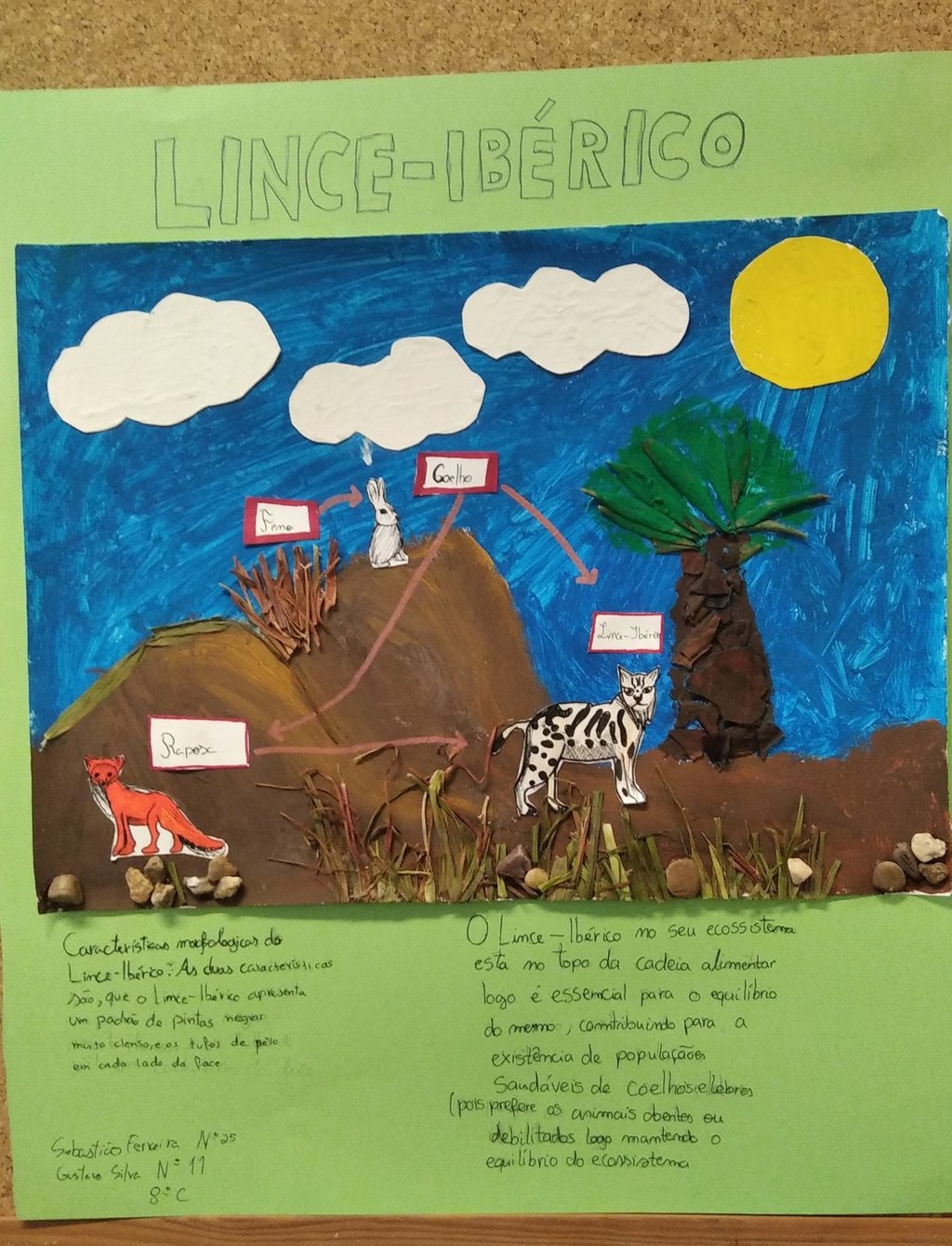 GustavoSilva-SebastiaoFerreira-Lince iberico