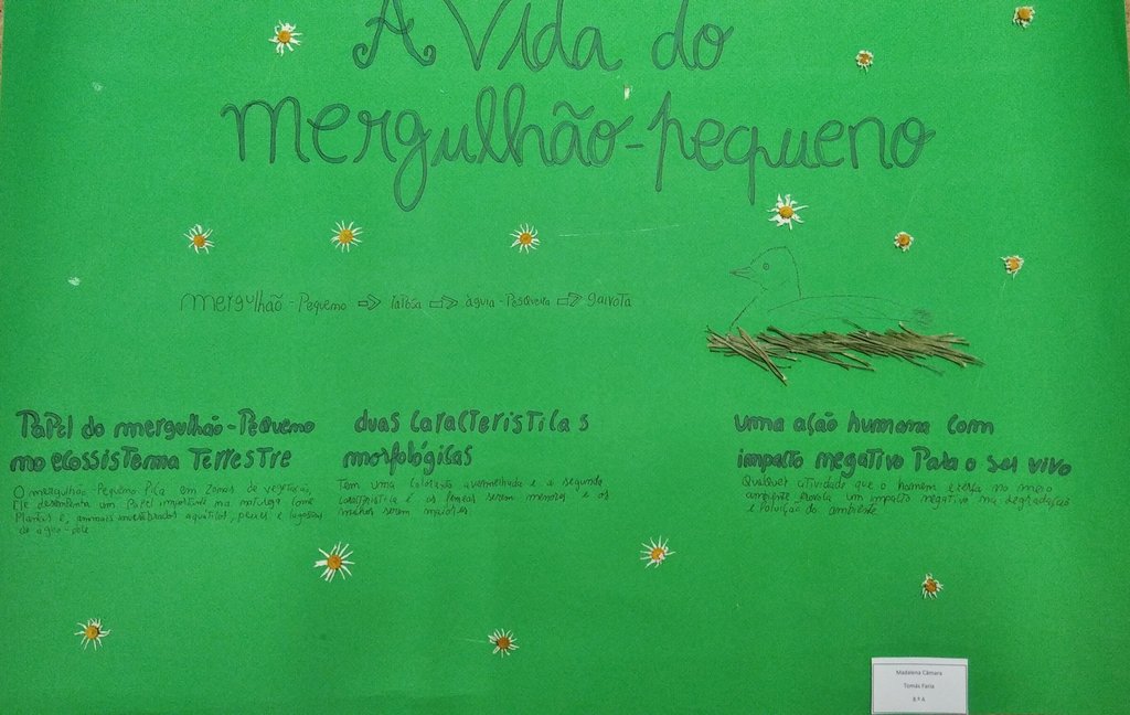 MadalenaCamara-TomasFaria-Mergulhao pequeno