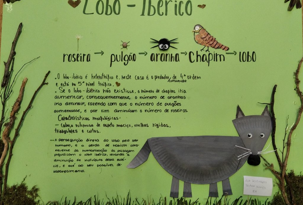 EvaDomingos-JoanaNunes-Lobo Iberico