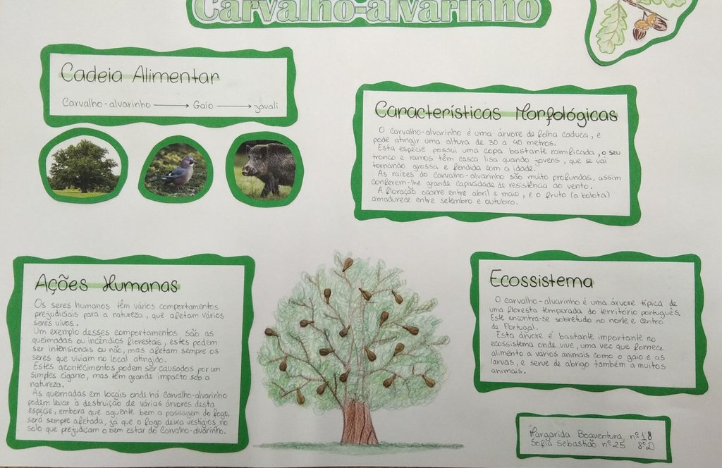 MargaridaBoaventura-SofiaSebastiao-Carvalho alvarinho