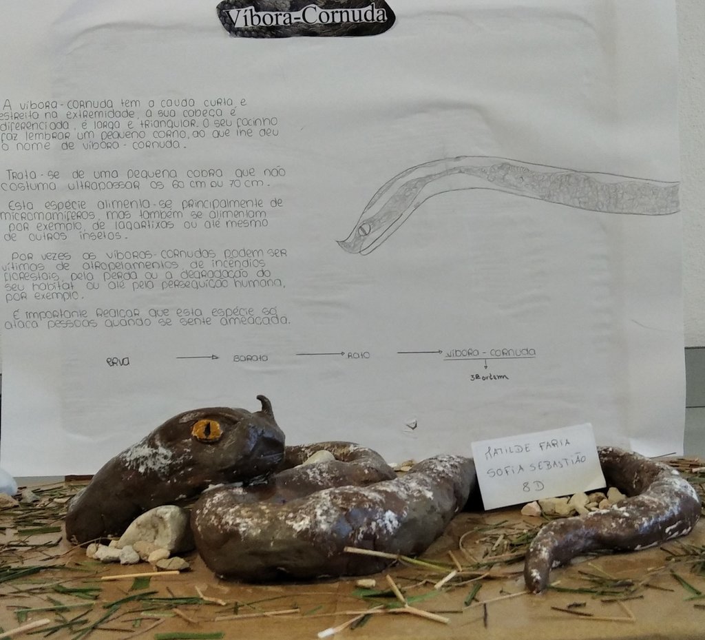 MatildeFaria-SofiaSebastião-Vibora Cornuda