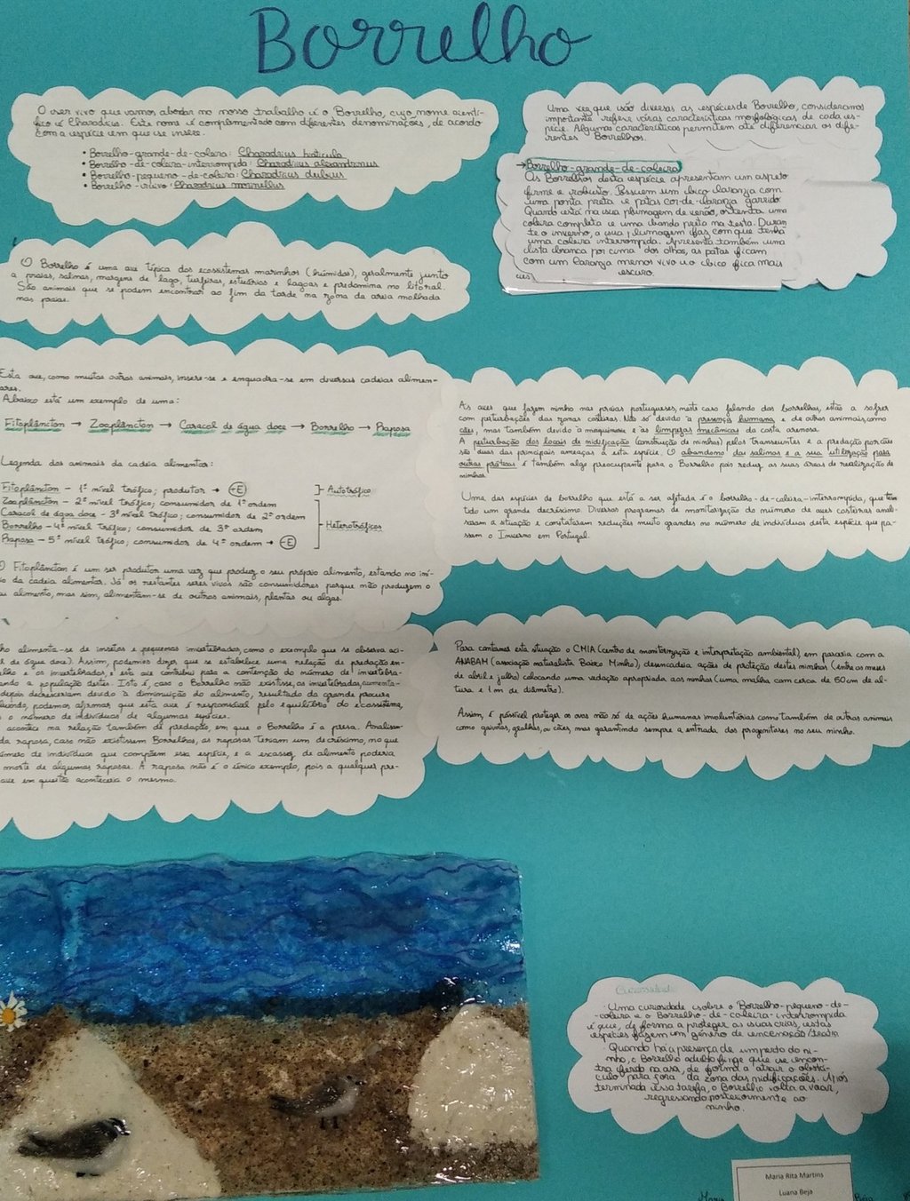 MariaMartins-LuanaBeja-Borrelho