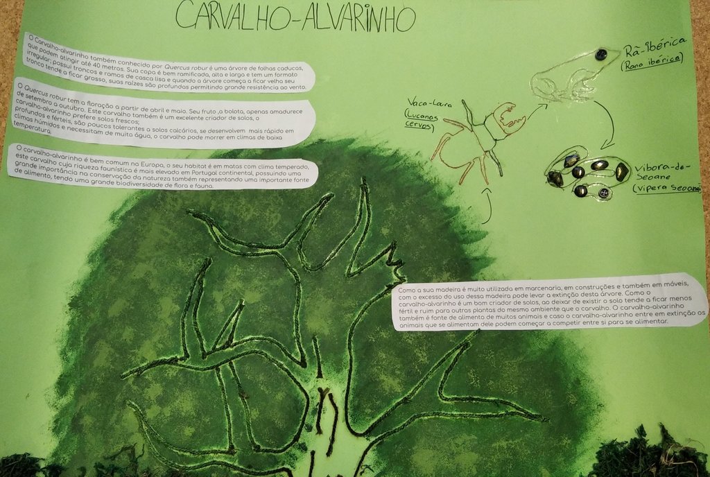 EvellynLoterio-JoãoLuiz-Carvalho Alvarinho