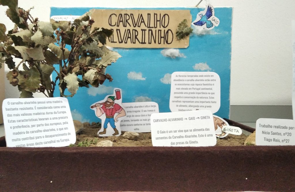 NiciaSantos-TiagoReis- Carvalho Alvarinho