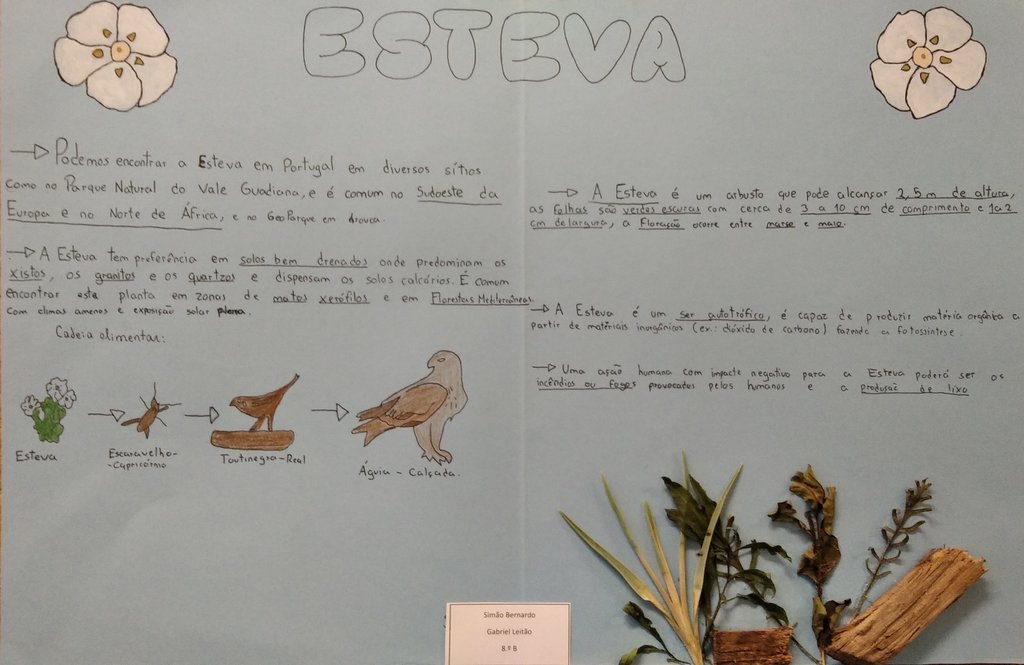 SimaoBernardo-GabrielLeitao-Esteva