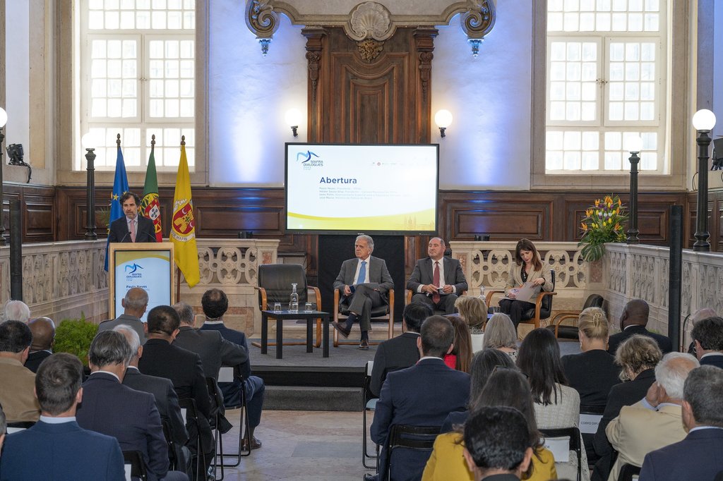 Mafra Dialogues (15)