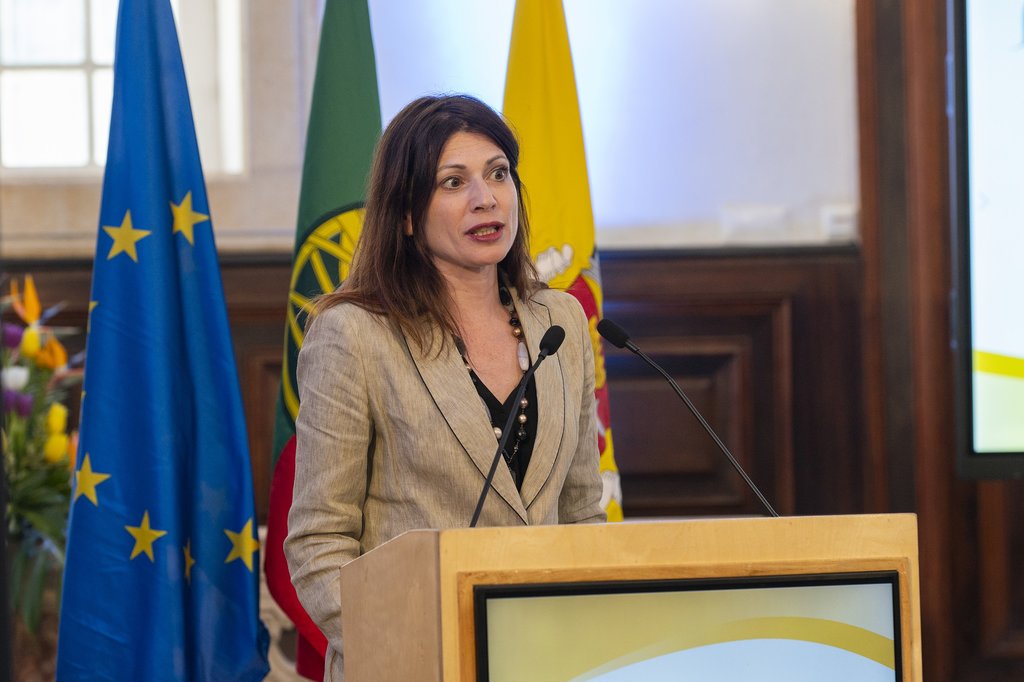 Mafra Dialogues (23)