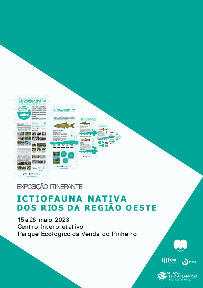 cartaz_social_media_mafra_2a_quinzena_2