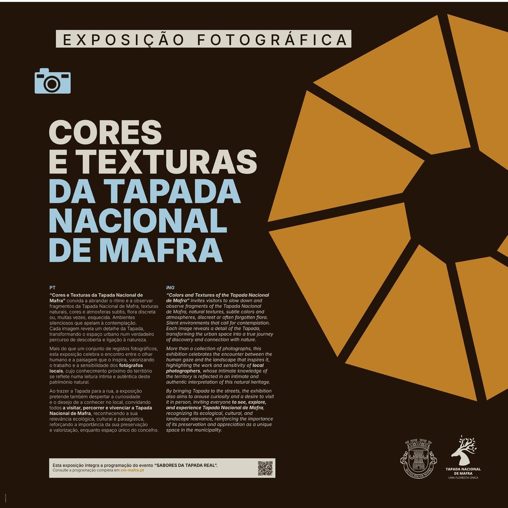 CORES E TEXTURAS