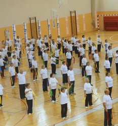 festa_encerramento_nucleos_desportivo_72